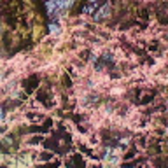 Meet your Posher, Sherri - Picture 1 of 1